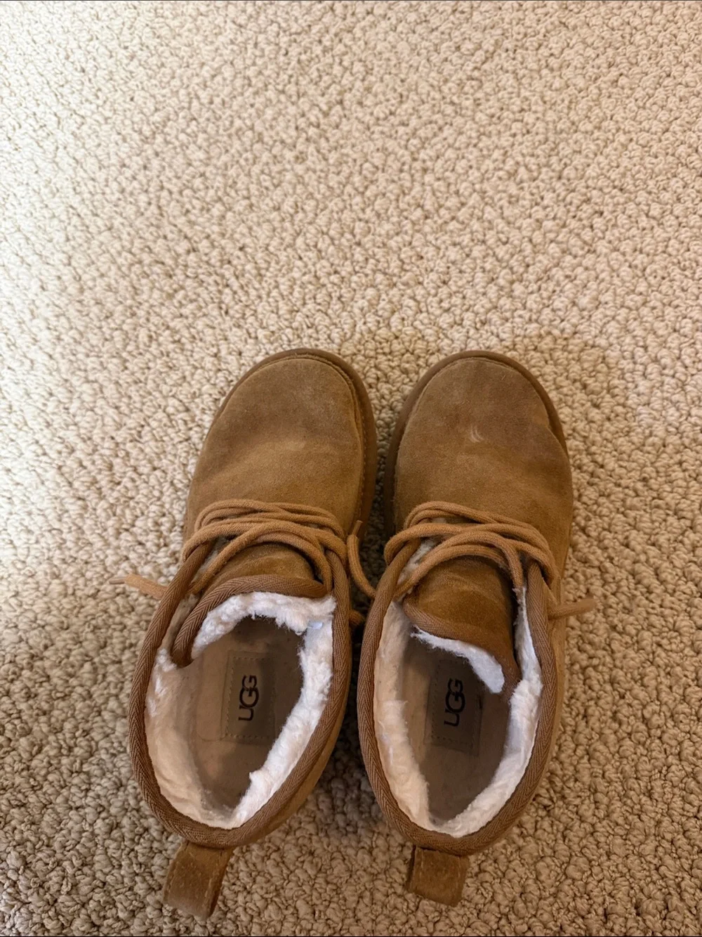 UGG Men's Chestnut Brown Suede Chukka Boots